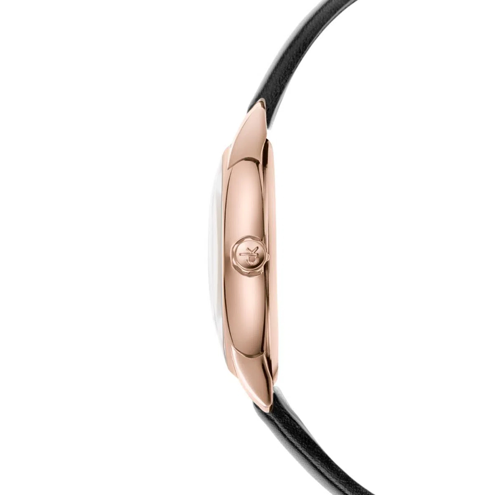 zegarek calvin klein established