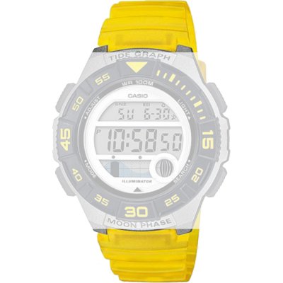 Casio 10592727 Collection Women Pasek