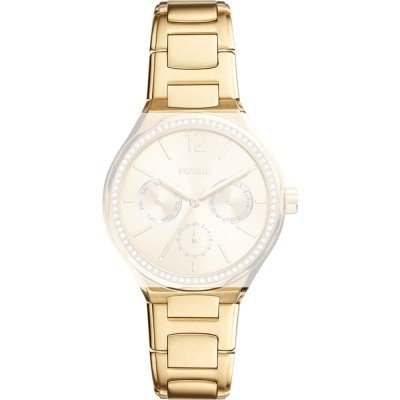 Fossil ABQ3722 BQ3722 Eevie Pasek