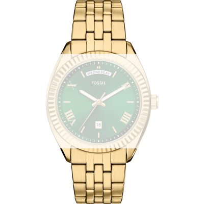 Fossil AFS6142 Campbell Pasek