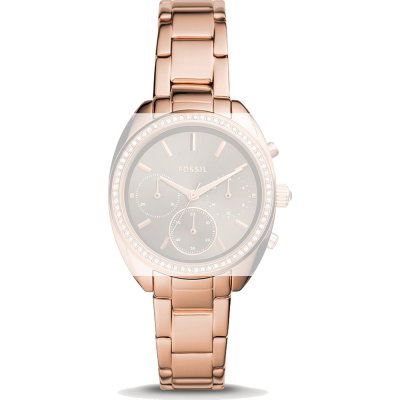 Fossil Straps ABQ3728 BQ3659 Vale Pasek