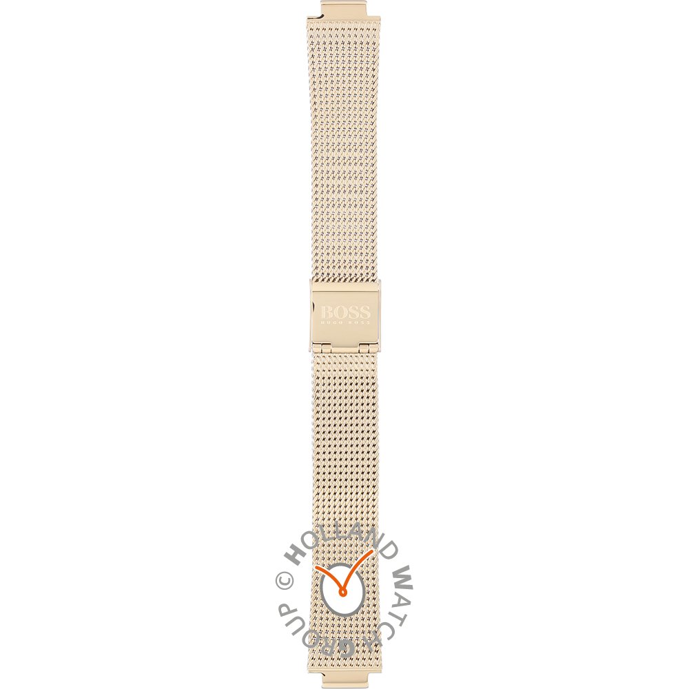 Hugo Boss Hugo Boss Straps 659002839 Flawless Pasek