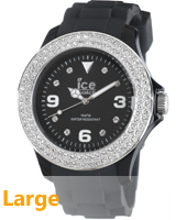 Ice-Watch 000250
