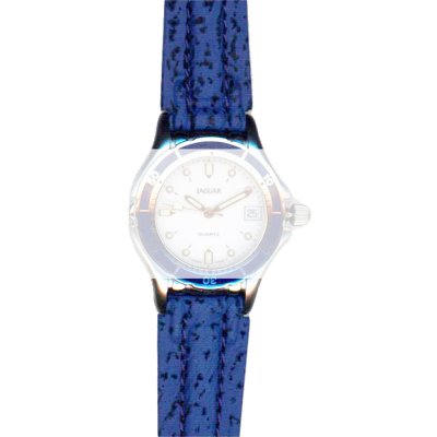 Jaguar BC02929 J764 Pasek