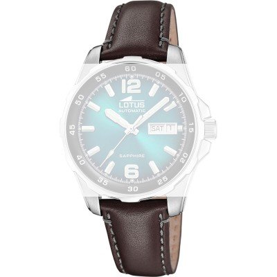 Lotus BC11880 Archive Pasek